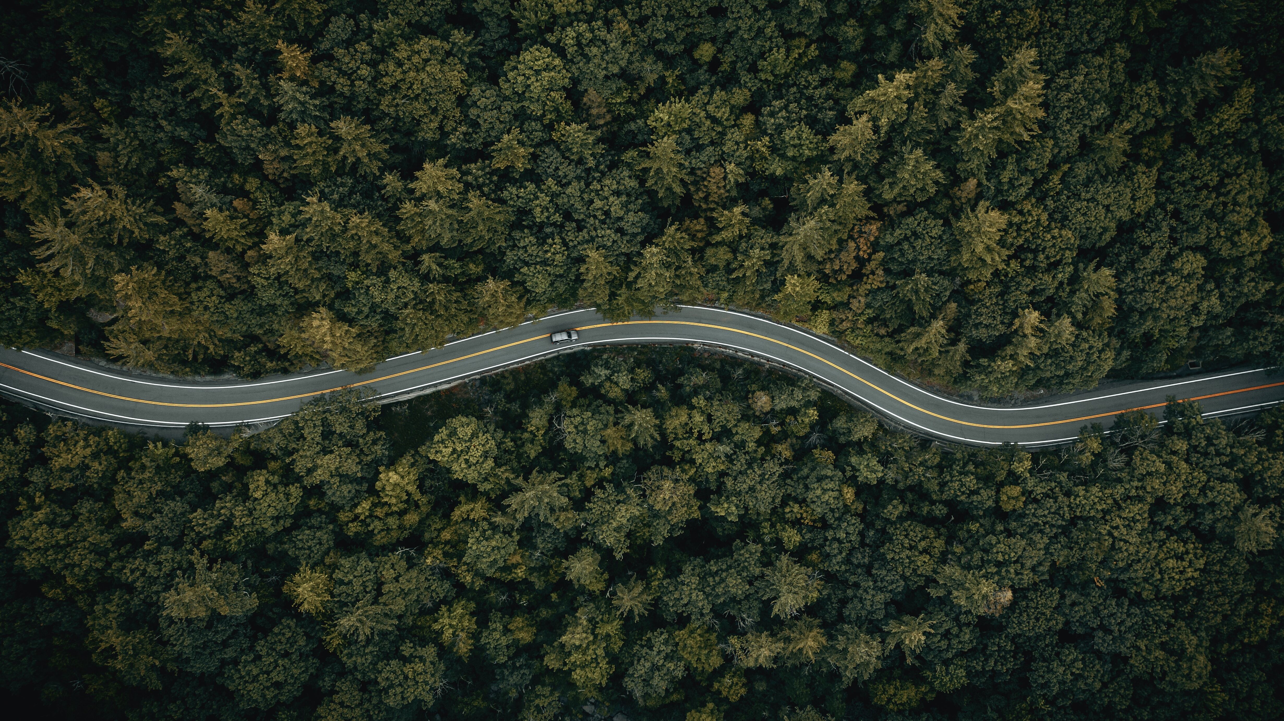 Stop buying the roadmap